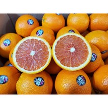 [노말테이블]카라카라 레드 오렌지 고당도 15브릭스, M 88과(17kg 내외)
