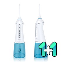 1+1 단미 CLS02 클린픽 구강세정기 300ml, 구강세정기  CLS02:구강세정기  CLS02