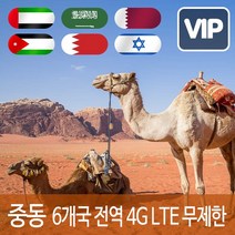 VIP 중동 6개국 4G LTE 포켓 와이파이 매일 1GB 후 저속 국내공항 수령, 매일 1GB 후 저속 1일/대구공항