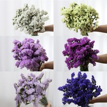 [로즈온리] 스타티스 한단 (색상선택) 생화택배, 05 연보라