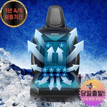 더쎈 차량용 뉴10팬 송풍시트 통풍시트 쿨시트 커버 바람방석 매트, 뉴10팬쿨링시트12v+닦쓰봉1팩증정