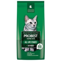 프로베스트 캣 전연령 고양이 사료, 20kg, 1개