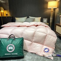 거위털 오리털이불 100% 구스 다운 퀼트 피부 친화적인 코튼 원단 이불 따뜻하고 실키 한 겨울 6 색 트윈 퀸 풀 사이즈, [05] 200x230cm 4000g, [06] Pink