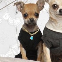 편안한 리드줄 gold chain dog collar dog 목걸이 metal cuban link for medium and pet accessories for car pet, 푸른, l