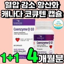 40대 혈관에 좋은 영양제 추천 코쿠텐 코엠자이 큐텐 할머니 고큐텐 혈행 개선 50대 큐텐자임 60대 건강 식품 큐엔자임 아빠 생일 선물 심장에 좋은 코큐텐 코엔자임 영양제 추천