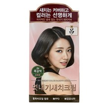 려 우아채 멋내기 새치 크림 3N 흑갈색 3회분 뿌리 염색약