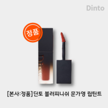 [본사:정품]딘토Dinto 여신강림 문가영 립틴트 블러피니쉬립틴트, 101 페어헤세