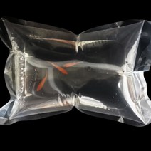 달자샵 물고기 안전운송 충격방지 비닐어항 10P세트 열대어 판매 선물 다용도 두꺼운 비닐, 1세트(10P)