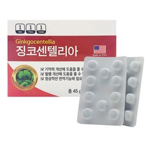 징코센텔리아 기억력 혈행개선, 2개월분(60정), 60정