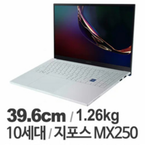 삼성 갤럭시북 이온 NT950XCJ 코어i5 16GB 지포스MX250 중고 노트북, NT950XCJ-X58L, WIN11 Home, 256GB, 실버