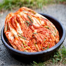 (한정수량 수량확보) 코스트코 종가집 오래오래 맛있는 포기김치 3kg 국산 김치 (아이스박스 무료포장) 배추김치