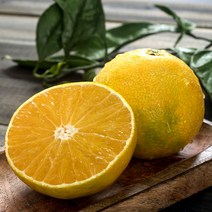 제주 황금향 귤 서귀포 효돈 프리미엄 고당도, 제주도 황금향, 선물세트 5kg (중과)