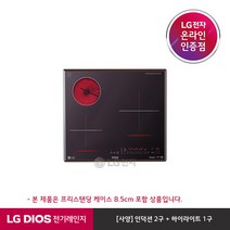 [LG][공식판매점] DIOS 하이브리드 3구 전기레인지 블랙 BEY3MSTC (프리스탠딩 케이스 8.5cm), 폐가전수거있음