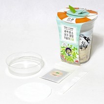 틔움세상 화분재배키트 한컵새싹농장 새싹채소 키우기, 무순