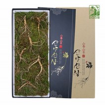 산양삼 10년근 장뇌삼 산양 산삼 야생 장내삼 장래삼 강원도 특산품 상견례 선물 부모님설 예단 사돈