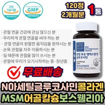 N아세틸글루코사민 엠에스엠MSM 어골칼슘 관절 건강 글로코사민 보스웰리아 히알루론산 엠에스엠 MSM 식약처인증 GLUCOSAMINE 손가락 무릎 허리 어깨 연골 에좋은 식품 추천