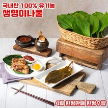 100% 유기농 생명이나물 국내산 산마늘 강원도 홍천 명이나물 장아찌 쌈 한정수량 1kg, 2kg