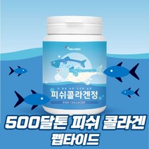 식약청통관인증 저분자 어린 어류 피시콜라겐 다이펩타이드 3세대콜라겐 500달톤 이너뷰티콜라겐 피쉬콜라겐 펩타이드 정 알약