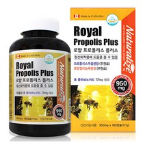 캐나다 로얄프로폴리스플러스180캡슐+로얄젤리농축분말함유 프로폴리스아연C 프로폴리스추천