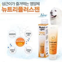 강아지 피로회복 대형견비타민 종합영양제 피부영양제