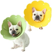 해바라기 EVA 반려동물 넥카라, 그린+옐로우