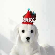 강아지 고양이 벌쓰데이 생일 꼬깔 모자(레드 곰), One color