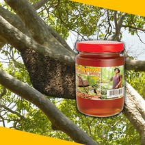 목청꿀 몬돌끼리 천연 벌꿀 Mondulkiri Natural Honey 200ml 야생꿀 와일드허니, 1개