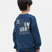 더데일리 어반뉴욕맨투맨