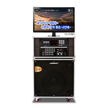 금영/태진 가정용 노래방 세트 이동식 노래방기계 업소용 반주기 15인치 PRO-3300SET, 6-2.금영 S300세트 (무선2개)