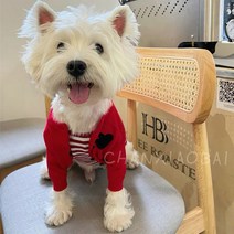강아지 명품옷 하트 가디건 스웨터 니트 코트 중소형 애견의류 4color, 레드
