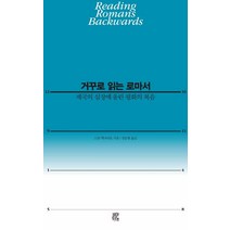 거꾸로 읽는 로마서:제국의 심장에 울린 평화의 복음, 비아토르