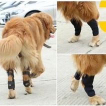 강아지 슬개골탈구 마사지 다리절뚝 반려견 다리 관절 보조기 쓸개골 발목 보호대 보호, M
