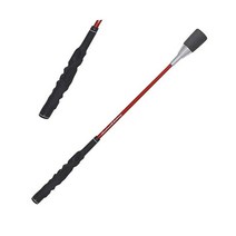 138733 다이아 골프(DAIYA GOLF) 스윙 연습 기구 다이어 스윙 시리즈 흔들림 올바른 릴리스 포인트를 잡는 비거리 업 효과적인 임팩트 초보자 교정 자택·실내 연습, 2 스윙535, 단품