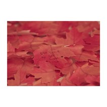스티키메모지 단풍 Yellow L 5P 점착식 메모잇 패드, 본상품