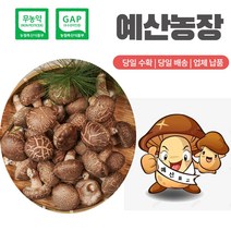 무농약인증 GAP인증 표고버섯 산지직송 생표고버섯 고급형 이유식 끝내주는 화고, 화-3kg, 1개