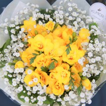 프리지아 생화 꽃 다발 야곱의정원 택배 배송 후리지아 프레지아 후레지아 배달 꽃정기구독 졸업식 선물, 기본