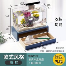 네온테트라 희귀열대어 새우키우기 어항꾸미기 루돌프구피 하프문베타 엔젤피쉬A03, 네이비 본품