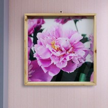 아트박스/꾸밈 ps360-우드프레임액자_부를부르는풍수작약꽃(중형)