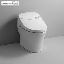 대림바스 DST-660N도기일체형비데 자동물내림