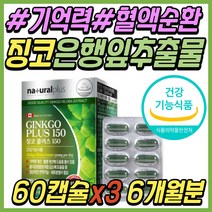 노인 기억력 감퇴 증진 강화 징코 플러스 빌로바 추천 은행잎 추출물 종아리 다리 하체 혈행 혈액순환 관리 케어 개선 보조제 부모님 어르신 시니어 할머니 할아버지 노인성 추천 선물