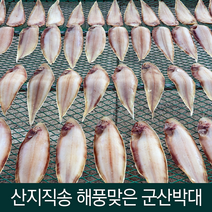 산지직송 100% 품질보장 해풍맞은 반건조 군산 박대 ( 30cm 내외 10마리)