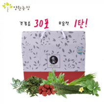 양원농장 건강즙 1탄 30포/1박스 개똥쑥즙 외 (2394185), 더진한여주즙
