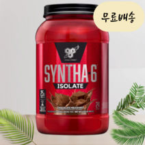 신타6 오리지날 아이솔레이트 프로틴 파우더 powder 초콜릿 밀크쉐이크 2.01lb 단백질 보충제 BCAA 아미노산 BSN [오리지널] 딸기 1.32kg, 1개