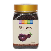 동의한약나라 영지버섯환 국내산, 250g, 1개