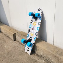 어린이 입문용 초보용 스케이트보드 27인치, 블루