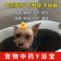강아지 발세정제 얼굴 샴푸 곰팡이 반려동물 한약욕 피부병 약물욕 진균 진드기 고양이 이끼, 11 약욕꾸러미+분사제+진드기 제거+경구