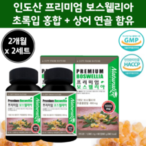 인도 프리미엄 보슬레리아 4개월 분 상어연골 보수엘리아 보스 엘리아 웰리아 웰리아산 보이스 보스벨리아 먹는법 초록 홍합 보스웰 릭산 보스웰리스 보수엘리아 보수 보즈 웰리아 윌리아