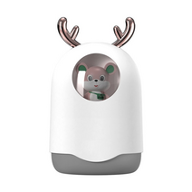 사무실 차량 작은방 미니가습기 충전식 생수병 원룸 가습기 usb 아로마 디퓨저 아로마, 화이트 300ml