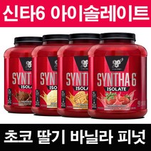 신타6 아이솔레이트 초콜릿 딸기 바닐라 피넛 프로틴 단백질 보충제, 1개