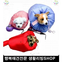 강아지키우는법 반려견사료 웰시코기사료추천 강아지좋은사료 말티즈사료